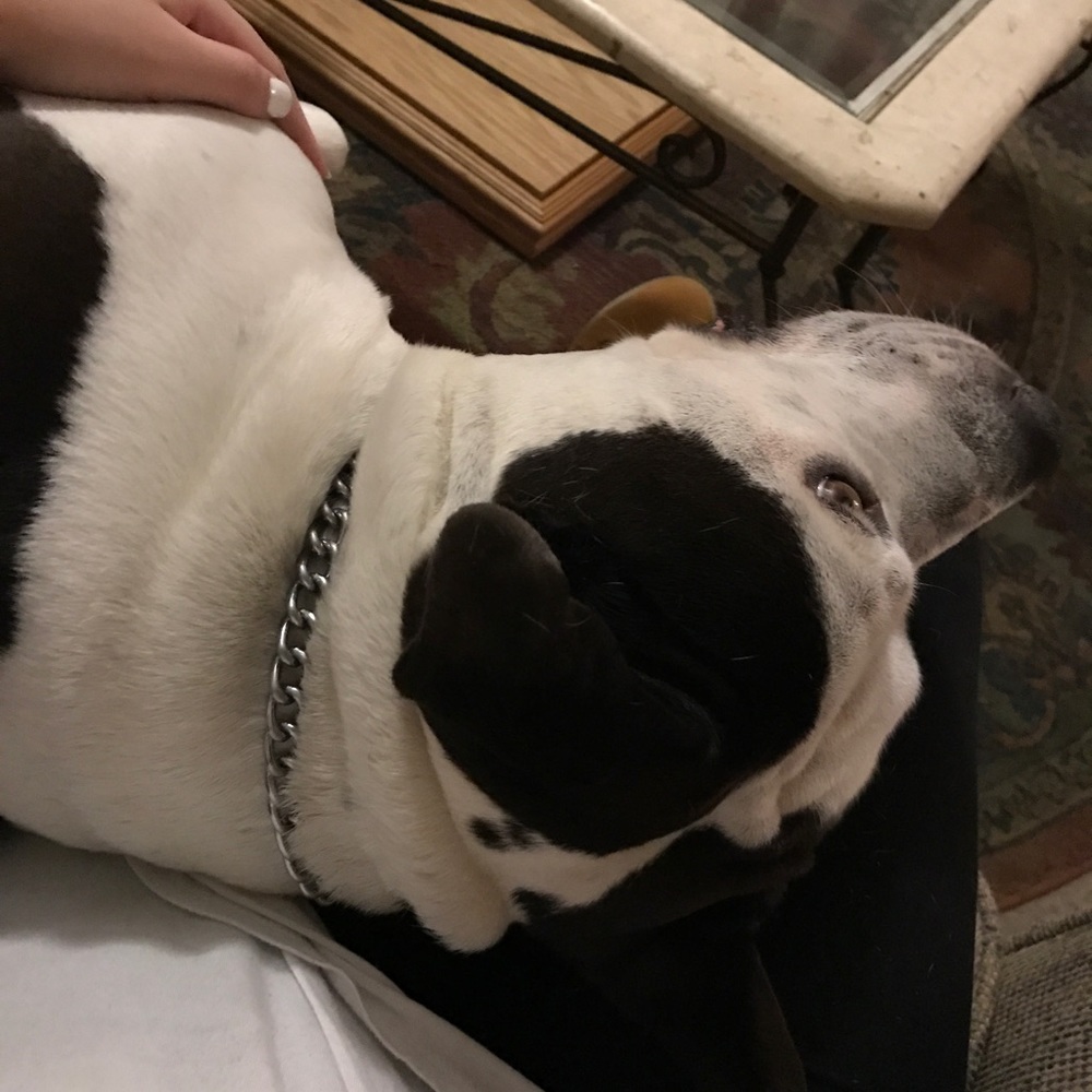 Meet your Posher, Jada